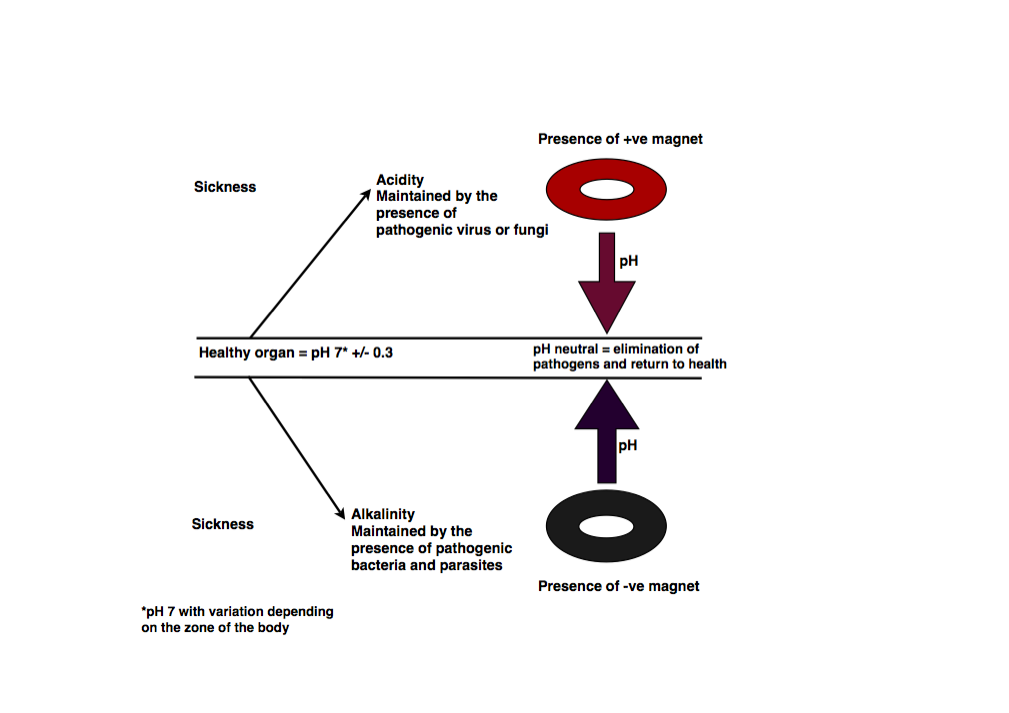 Biomagnetic Pair